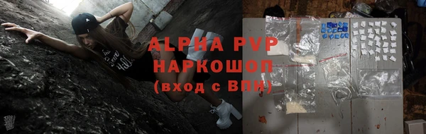 индика Дмитровск