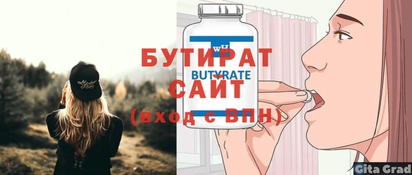 индика Дмитровск