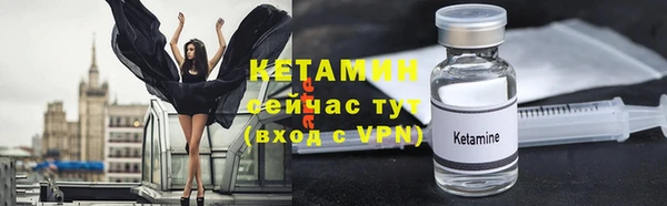 индика Дмитровск