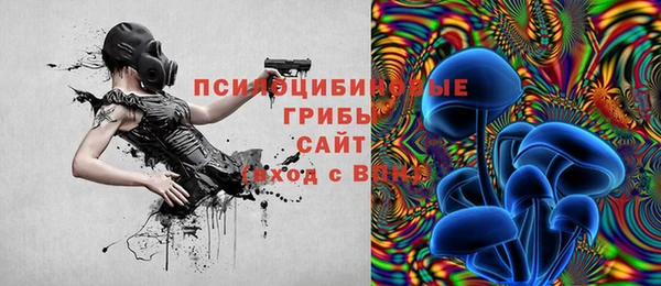 jwh Гусев