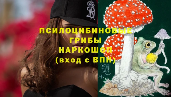 стафф Дмитриев